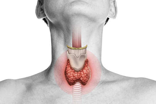 DOES HAVING AN OVERACTIVE THYROID CAUSE ANXIETY?